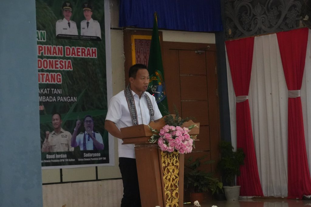 Ketua Dewan Pembina DPW TMI Kalbar, Daud Yordan