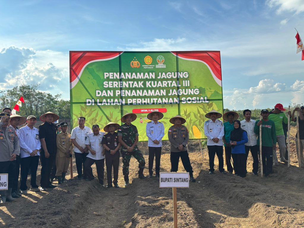 Wakil Bupati Sintang, Florensius Ronny bersama Kapolres Sintang, AKBP I Nyoman Budi Artawan dalam Program Penanaman Jagung Serentak Kuartal III di Desa Gurung Kempadik, Kecamatan Tebelian, Kabupaten Sintang, pada Rabu, 9 Juli 2025.