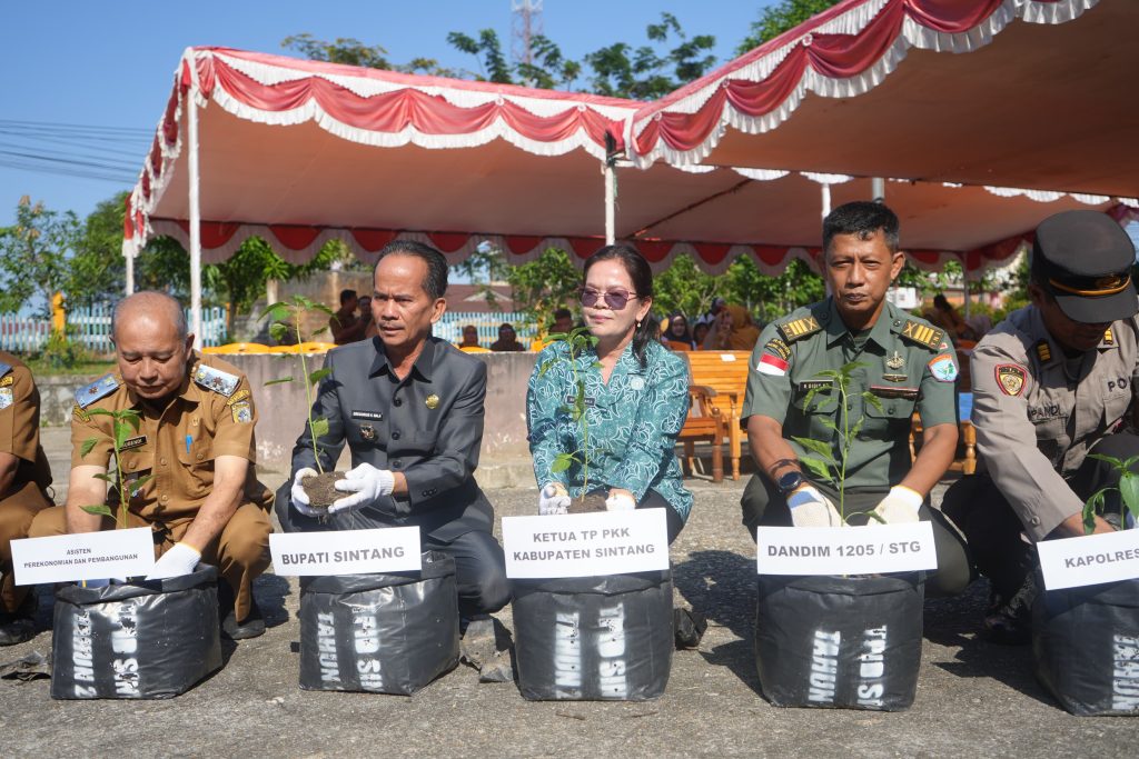 Bupati Sintang, Gregorius Herkulanus Bala pada Senin, 21 juli 2025 mengatakan lomba menanam cabai sebagai upaya menekan inflasi dan menularkan semangat berkebun. 